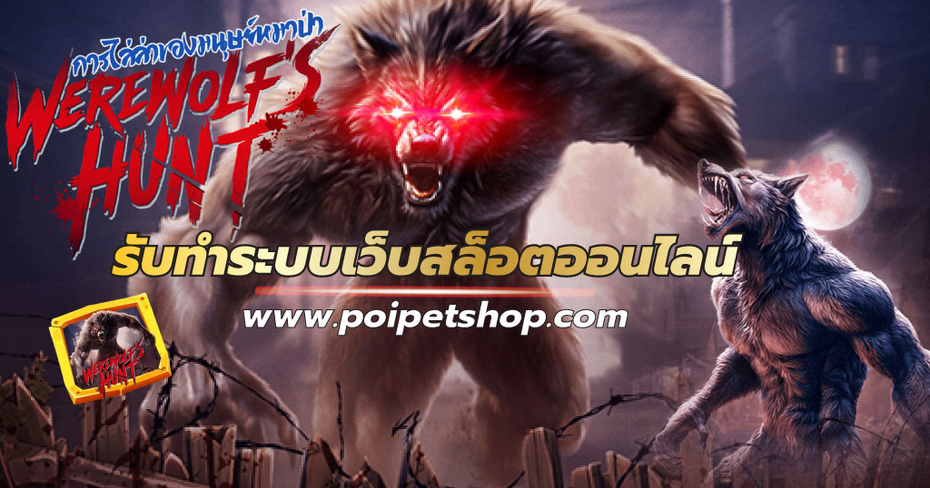 You are currently viewing Poipetshop รับทำ เว็บสล็อต ในปี2024